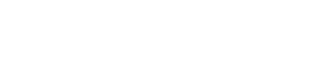 Sudhir Group
