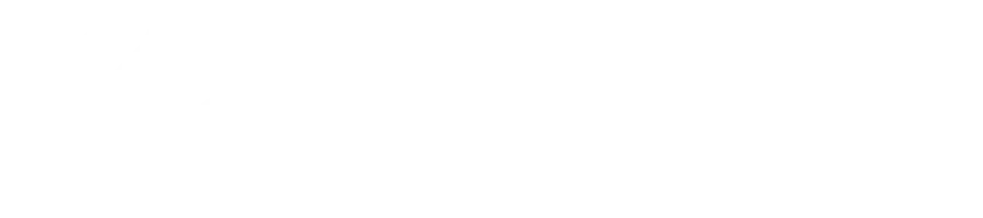 Sudhir Group — SEO & organic growth case study